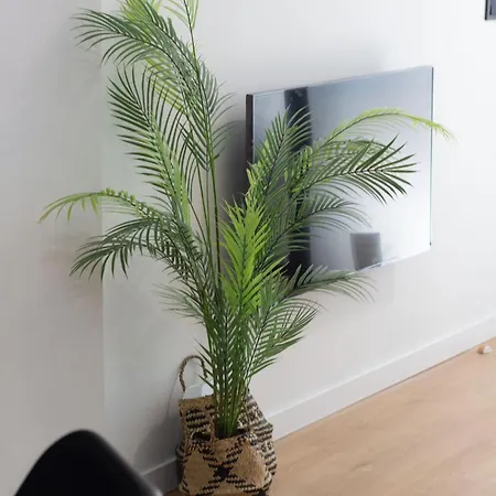 Vlc Host - Leones Valencie